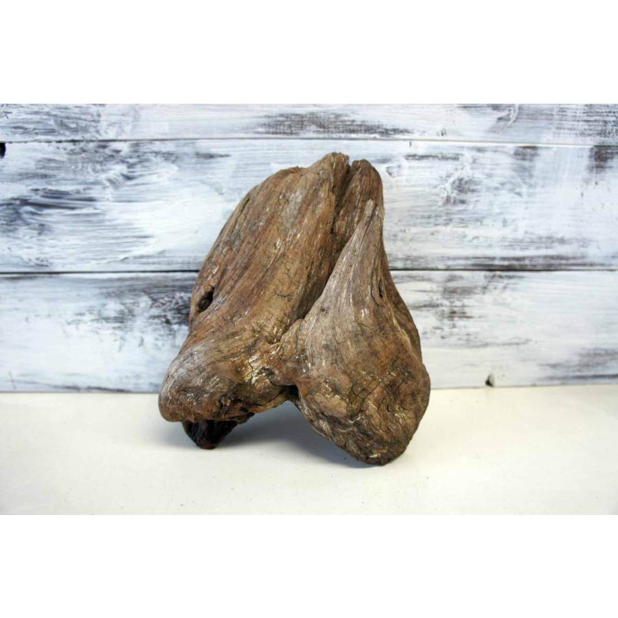 壁掛け インテリア 流木 おしゃれ ナチュラル 雑貨 オブジェ 置物 観葉