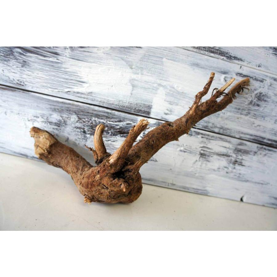 インテリア 流木 おしゃれ ナチュラル 雑貨 小物 オブジェ 置物 観葉