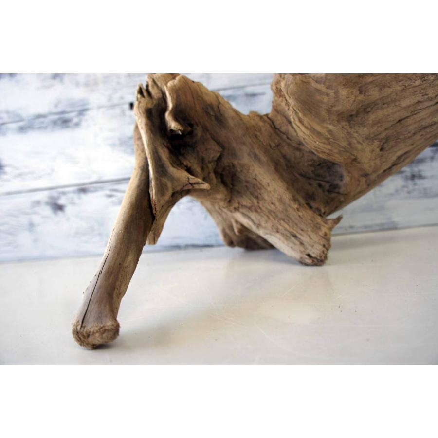 インテリア 流木 おしゃれ 雑貨 オブジェ 置物 観葉植物 ディスプレイ