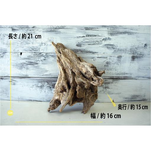 インテリア 流木 おしゃれ 雑貨 オブジェ 置物 観葉植物 ディスプレイ