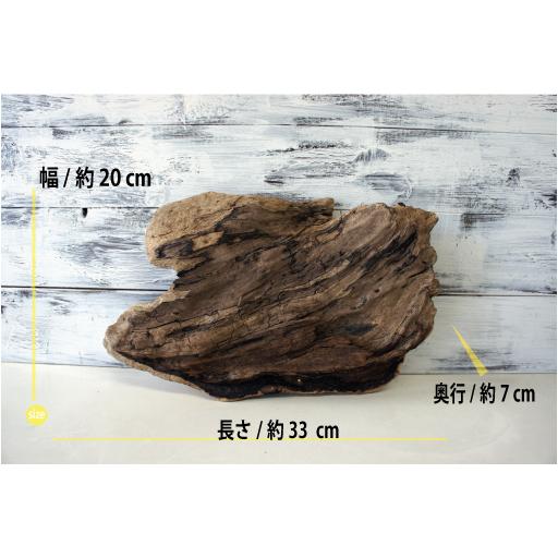 インテリア 流木 おしゃれ 雑貨 オブジェ 置物 観葉植物 ディスプレイ