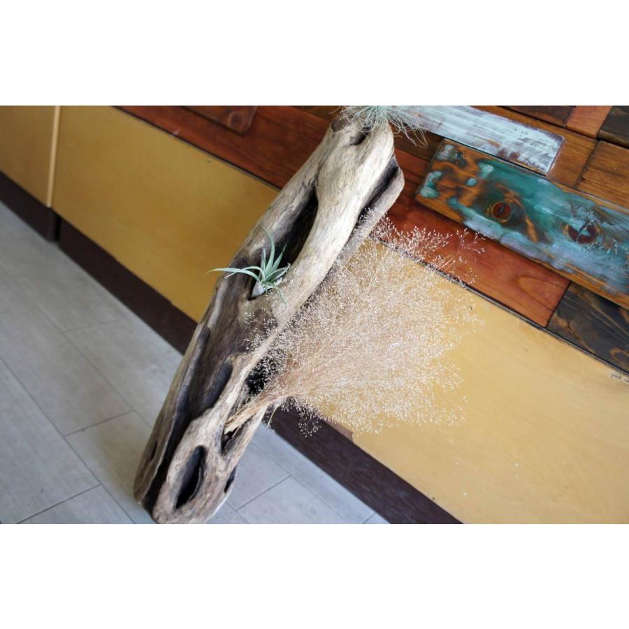 流木 爬虫類 小動物 登り木 インテリア おしゃれ 雑貨 オブジェ 置物