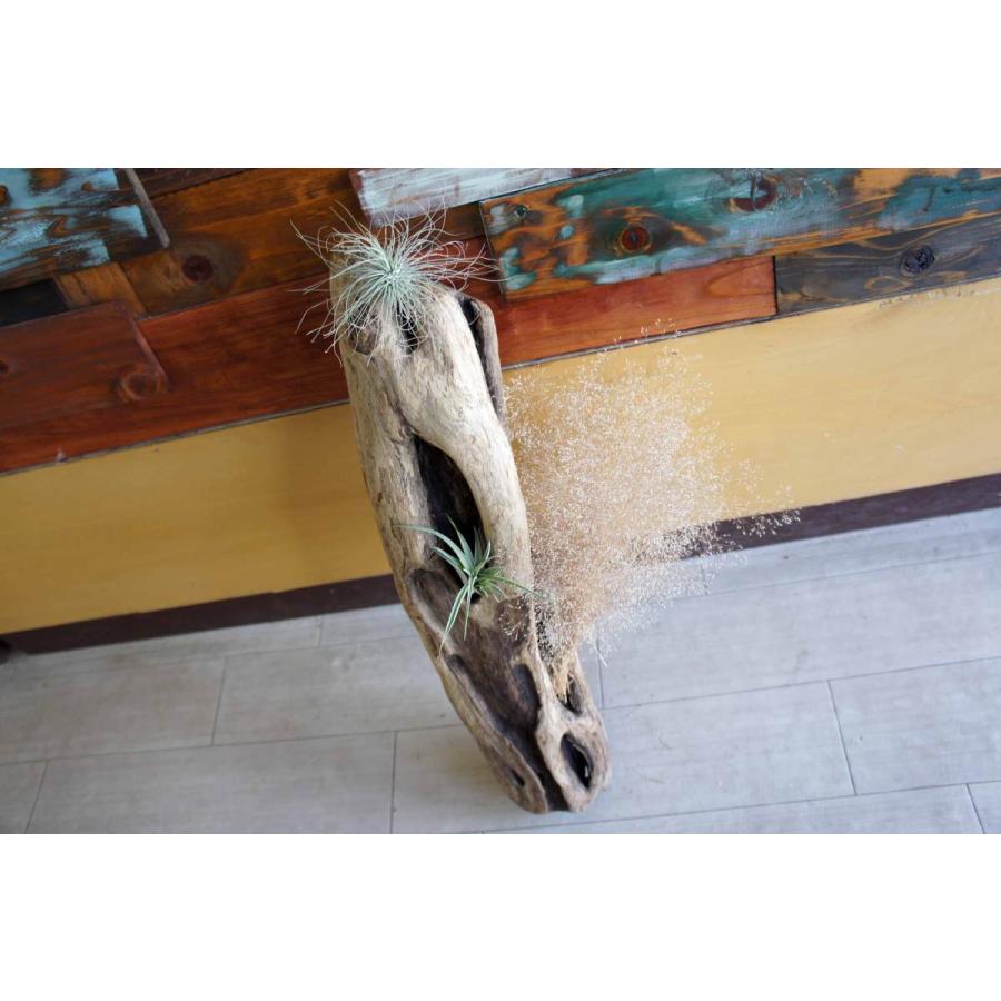 流木 爬虫類 小動物 登り木 インテリア おしゃれ 雑貨 オブジェ 置物