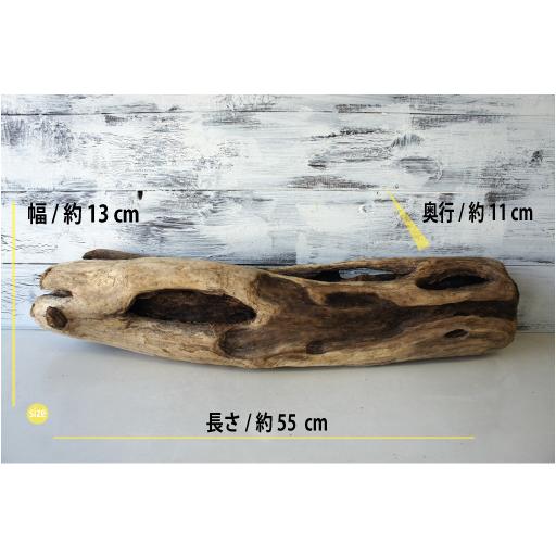 流木 爬虫類 小動物 登り木 インテリア おしゃれ 雑貨 オブジェ 置物