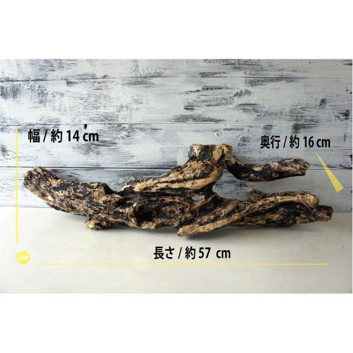インテリア 流木 おしゃれ 雑貨 オブジェ 置物 観葉植物