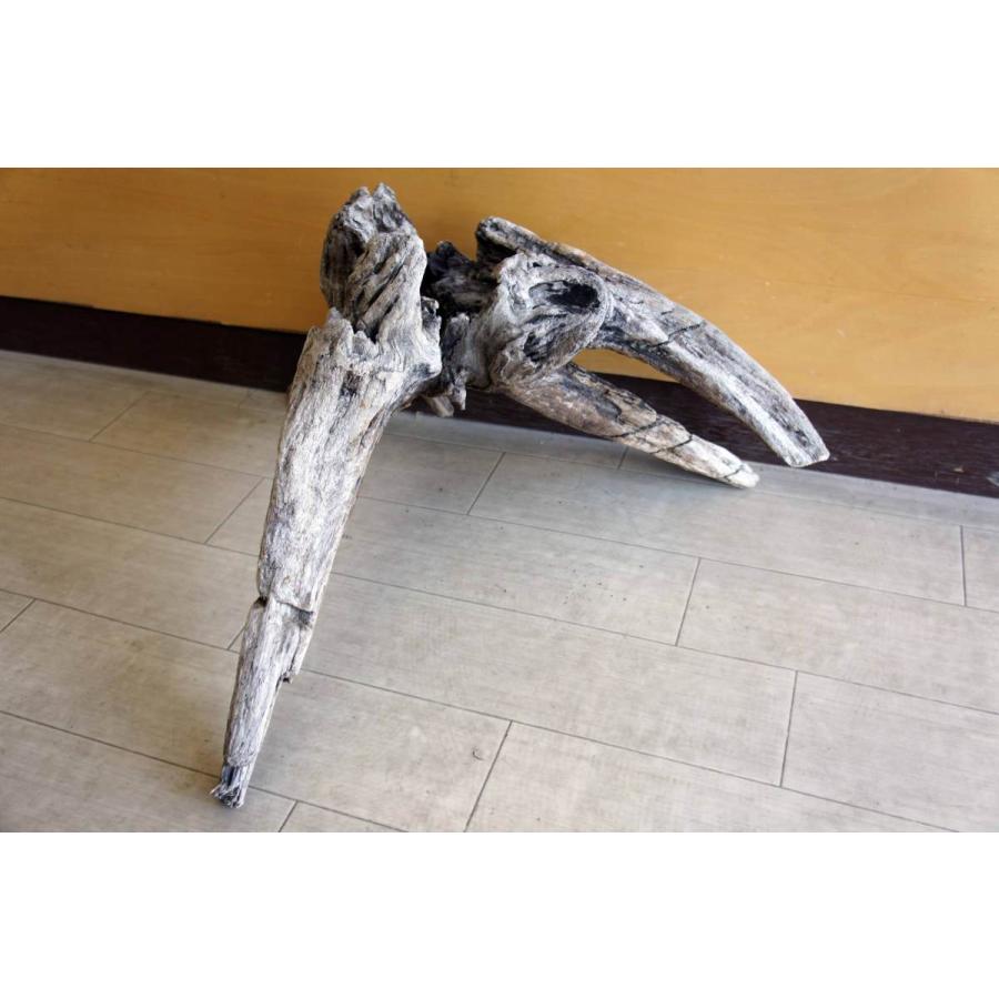 流木 インテリア 大型サイズ オブジェ ガーデニング おしゃれ