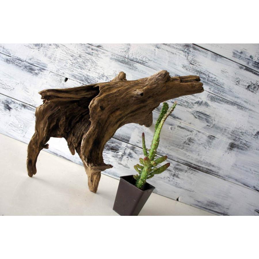流木 インテリア 家具 雑貨 おしゃれ 室内装飾 リビング キャンプ ガーデニング オブジェ 置物 観葉植物 アウトドア リフォーム Diy 306 Inte306 Wood Drops 通販 Yahoo ショッピング