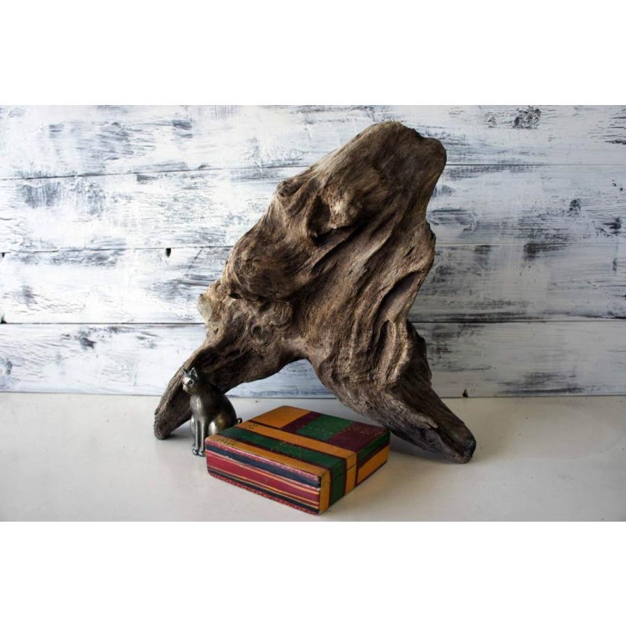 インテリア 流木 オブジェ ガーデニング おしゃれ 雑貨 置物 観葉植物