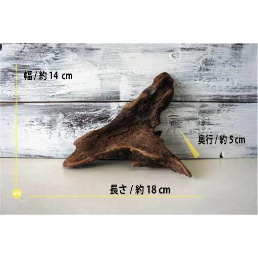 流木　大型75.5cm 超インテリア 流木 大型75.5cm 超インテリア 流木 大型75.5cm 超インテリア 流木