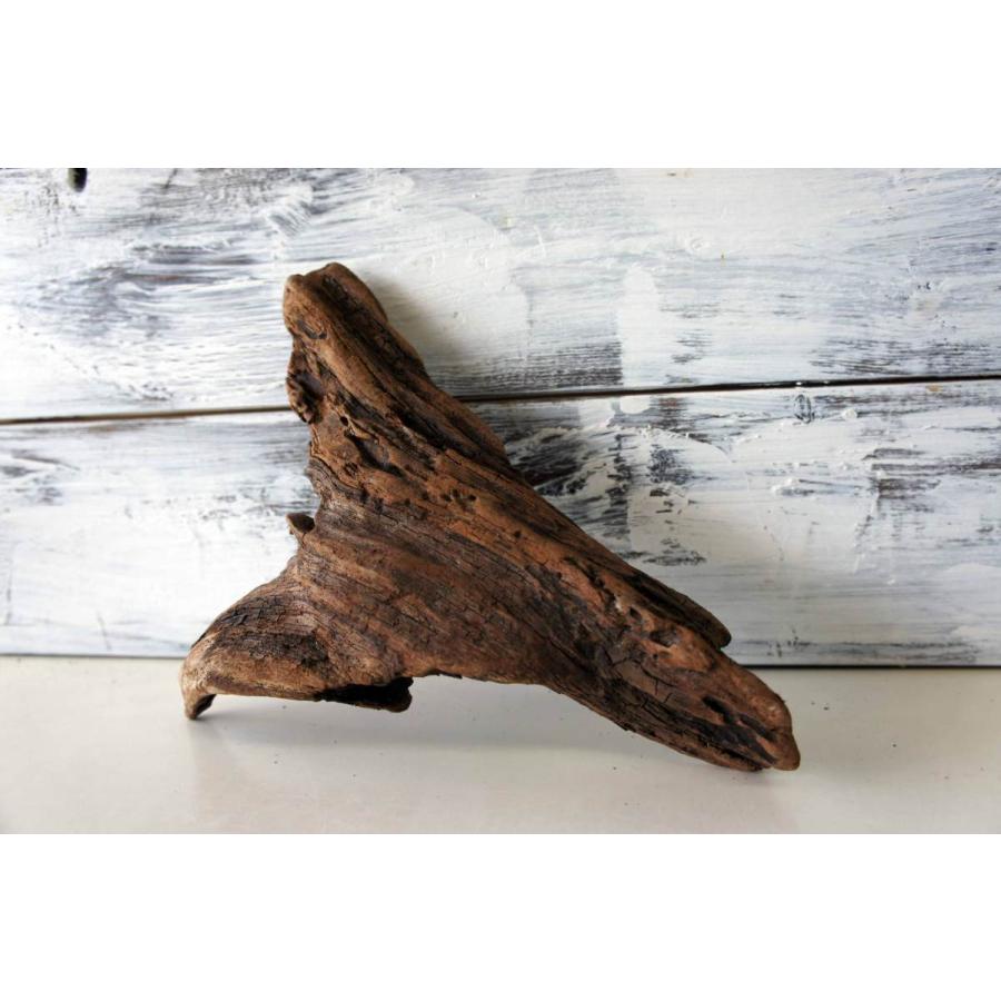 インテリア 流木 おしゃれ 雑貨 オブジェ 置物 観葉植物 ディスプレイ