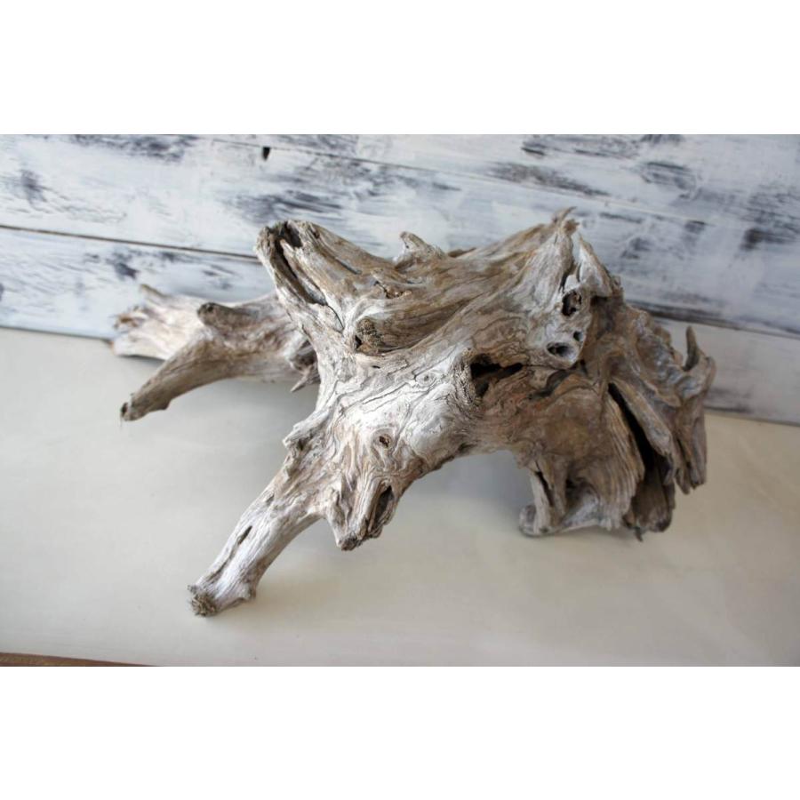 インテリア流木 おしゃれ 雑貨 オブジェ 置物 観葉植物 ディスプレイ