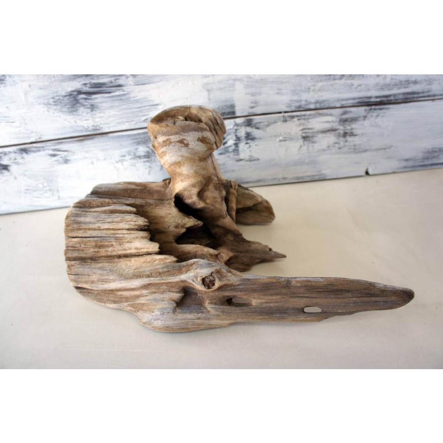 インテリア流木 おしゃれ 雑貨 オブジェ 置物 観葉植物 ディスプレイ