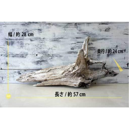 インテリア流木 おしゃれ 雑貨 オブジェ 置物 観葉植物 ディスプレイ