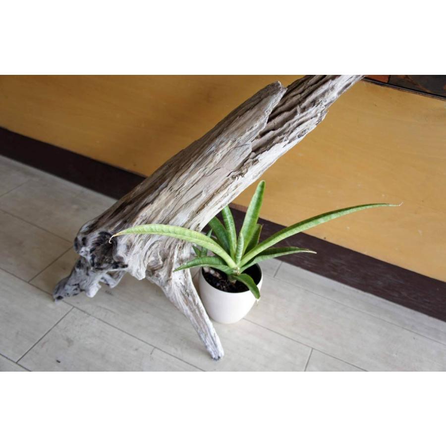 インテリア流木 おしゃれ 雑貨 オブジェ 置物 観葉植物 ディスプレイ