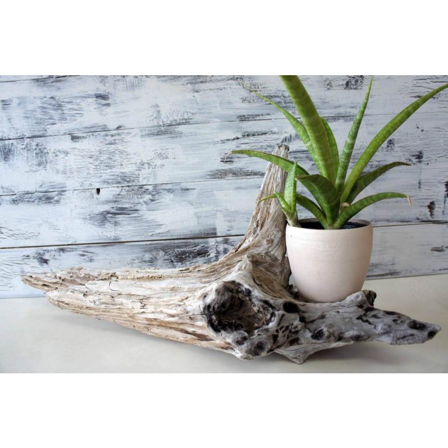 【希少／レア】流木　インテリア　置物 Yahoo!オークション - 流木 インテリア オブジェ 置物