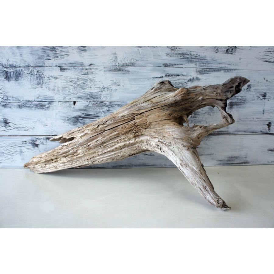 流木の置物 楽天市場】変形 レア 流木/大型 特大 流木 置物 玄関 木