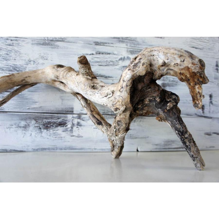 雑貨　ウッド　インテリア　オブジェ　流木 インテリア オブジェ 流木 おしゃれ ナチュラル 雑貨 観葉植物