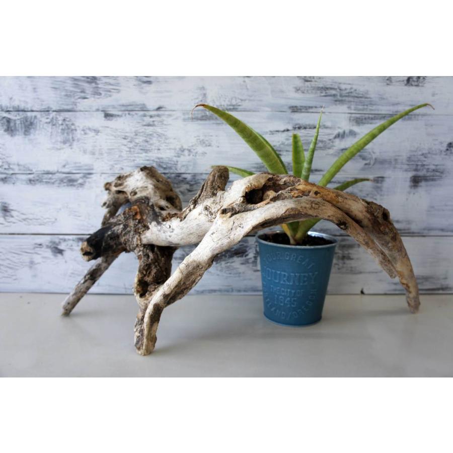 インテリア 流木 おしゃれ 雑貨 オブジェ 観葉植物 ディスプレイ