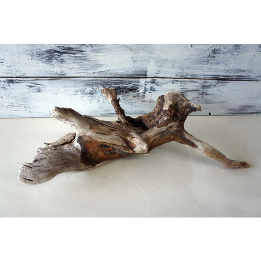 インテリア 流木 おしゃれ 雑貨 オブジェ 観葉植物 ディスプレイ ハー