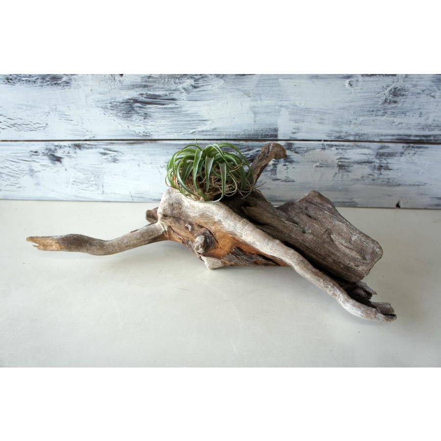 インテリア 流木 おしゃれ 雑貨 オブジェ 観葉植物 ディスプレイ ハー