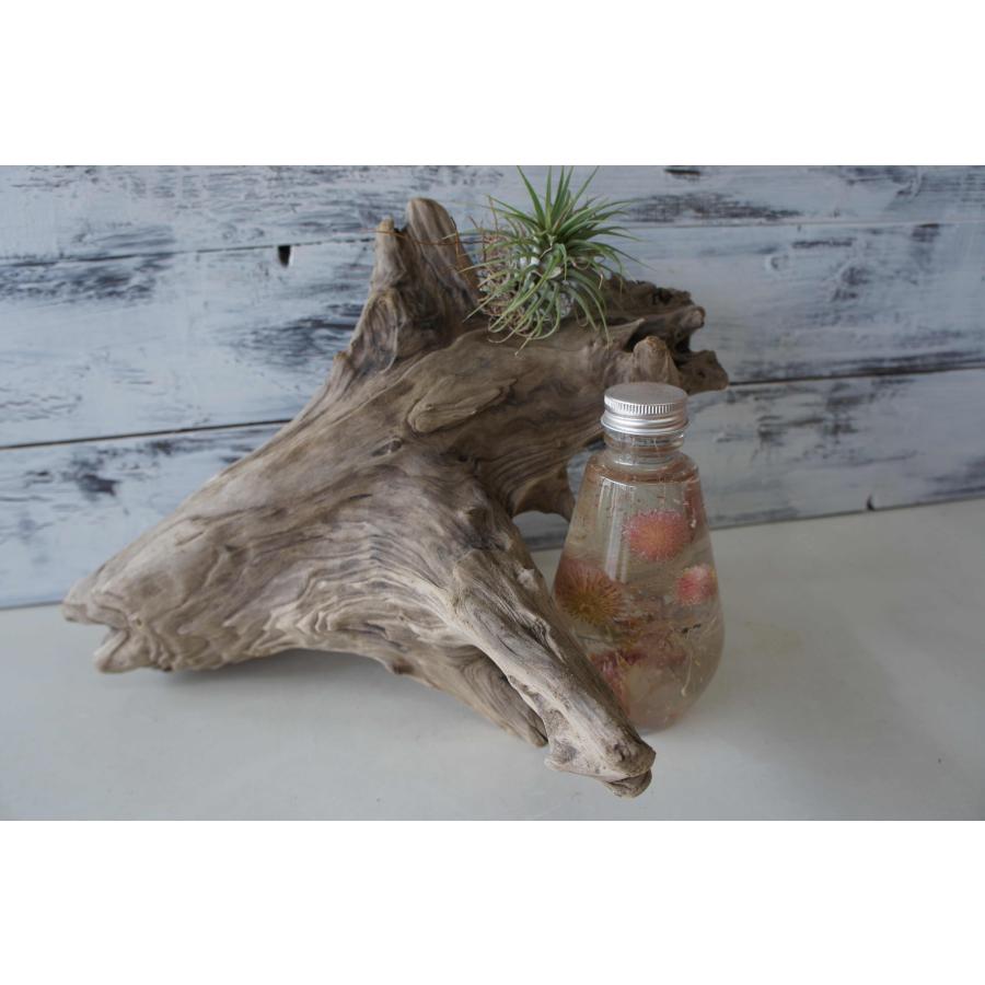 インテリア 流木 おしゃれ 雑貨 オブジェ 観葉植物 ディスプレイ