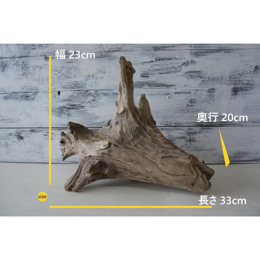 流木　インテリア　大型サイズ　送料無料　オブジェ　雑貨　ＤＩＹ　観葉植物 流木 大型サイズ インテリア オブジェ 観葉植物 おしゃれ 爬虫類