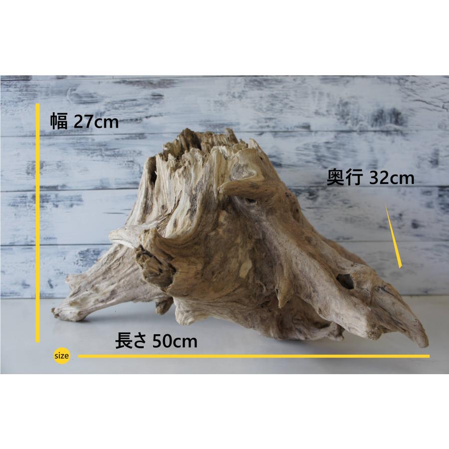 インテリア 流木 おしゃれ 雑貨 オブジェ 観葉植物 ディスプレイ ハー