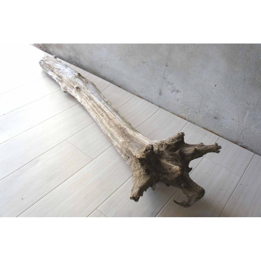 インテリア オブジェ 爬虫類 登り木 流木 おしゃれ 置物 玄関 雑貨