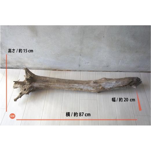 インテリア オブジェ 爬虫類 登り木 流木 おしゃれ 置物 玄関 雑貨