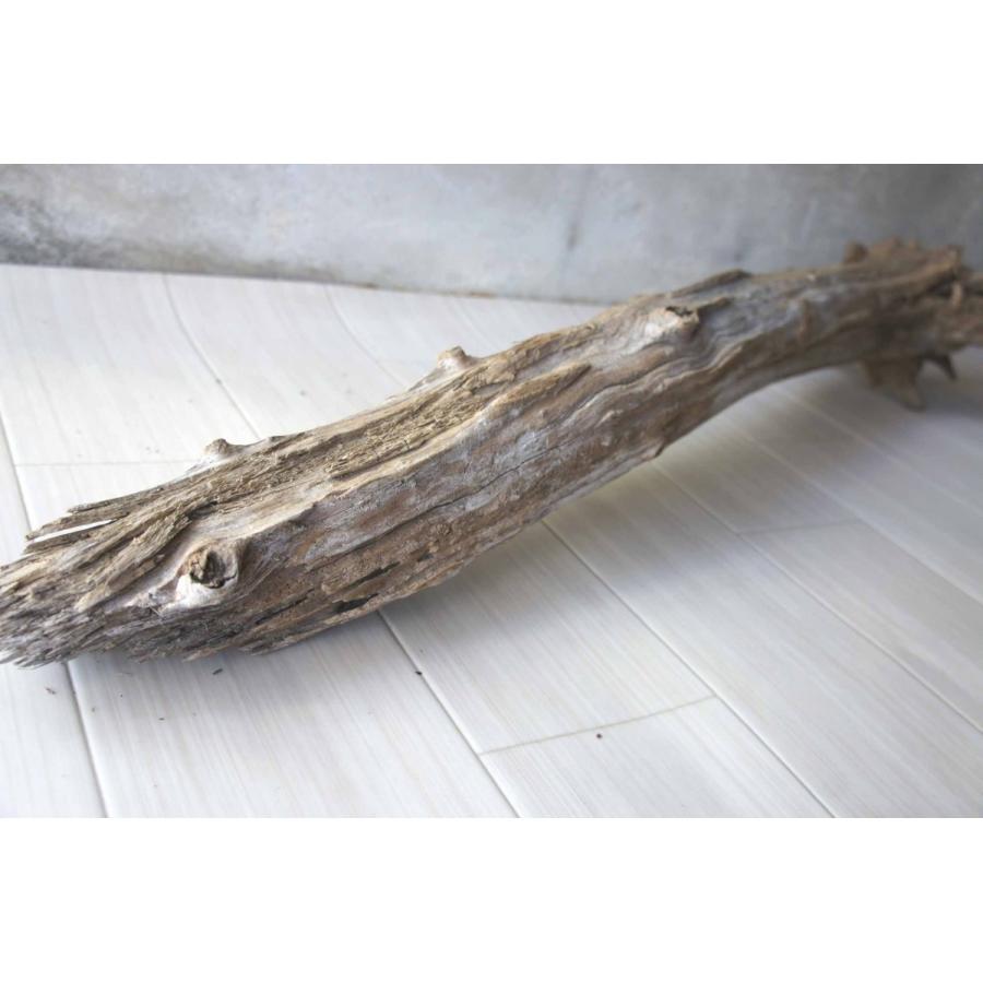 インテリア オブジェ 爬虫類 登り木 流木 おしゃれ 置物 玄関 雑貨