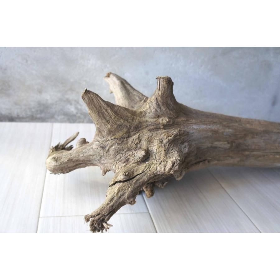 インテリア オブジェ 爬虫類 登り木 流木 おしゃれ 置物 玄関 雑貨