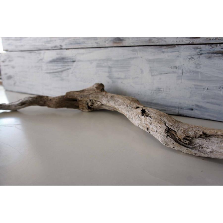 インテリア オブジェ 爬虫類 登り木 流木 おしゃれ 置物 玄関 雑貨