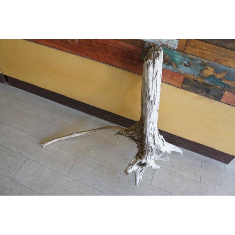 公式の インテリア オブジェ 爬虫類 登り木 流木 おしゃれ 置物 玄関 雑貨 リビング 室内装飾 大型サイズ ガーデニング 店舗 ディスプレイ リフォーム 057 安い Www Sei Ba Gov Br