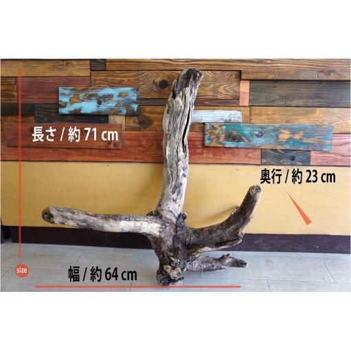 流木 大型サイズ インテリア オブジェ おしゃれ 爬虫類 登り木 小動物 