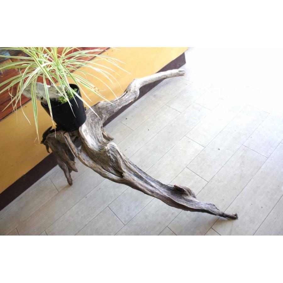 流木 大型サイズ インテリア 雑貨 観葉植物 テラリウム ガーデニング オブジェ 置物 室内装飾 リフォーム 家具 オシャレ ディスプレイ 073 Ogata073 Wood Drops 通販 Yahoo ショッピング