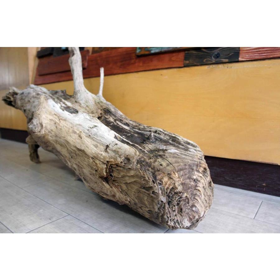 インテリア オブジェ 流木 おしゃれ 店舗 ディスプレイ 置物 玄関 雑貨