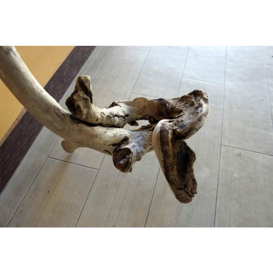 流木 大型サイズ インテリア オブジェ おしゃれ 爬虫類 登り木