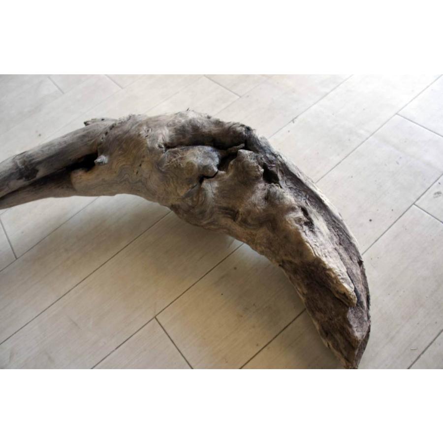 国産 流木 家具 リフォーム Diy インテリア オブジェ 店舗 雑貨 リビング 室内装飾 大型サイズ ガーデニング カフェ ディスプレイ 爬虫類 登り木 100 人気ショップが最安値挑戦 Www Aqtsolutions Com