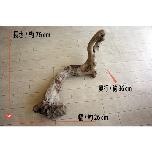 流木インテリア 00614c3b66ec9e0c7fa0f6ff560b05