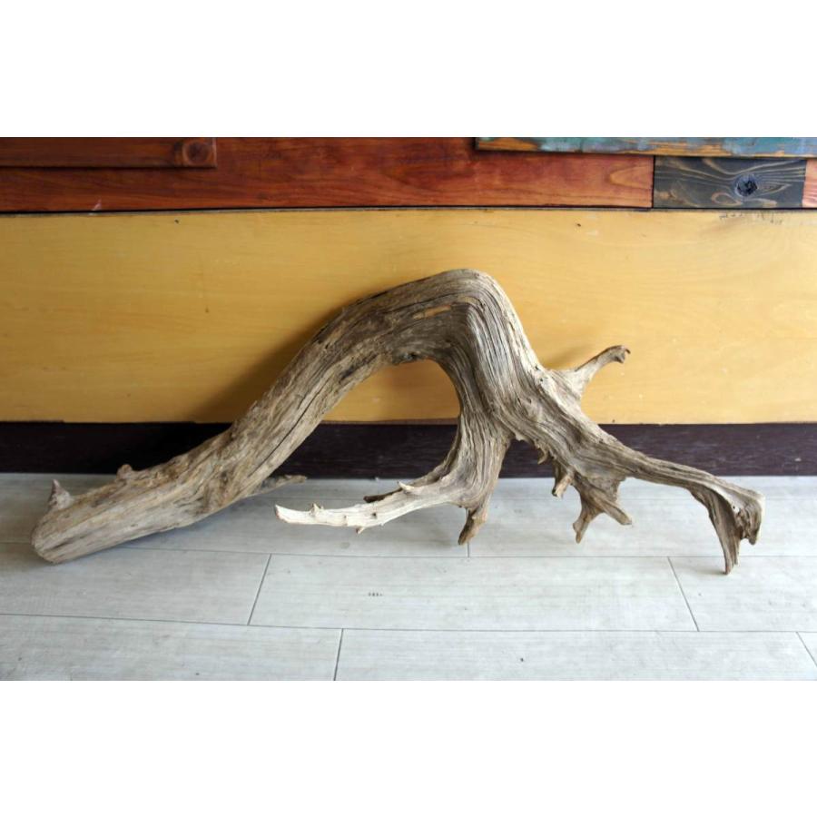 流木 インテリア 大型サイズ オブジェ ケージ 登り木 爬虫類 小動物 送料無料 流木 大型サイズ インテリア オブジェ 爬虫類 小動物 登り木