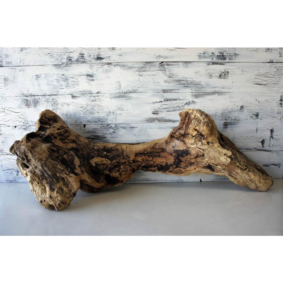 流木 インテリア オブジェ おしゃれ 置物 DIY 雑貨 リビング 室内