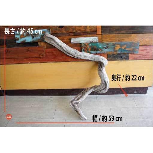 インテリア オブジェ おしゃれ 爬虫類 登り木 流木 レイアウト