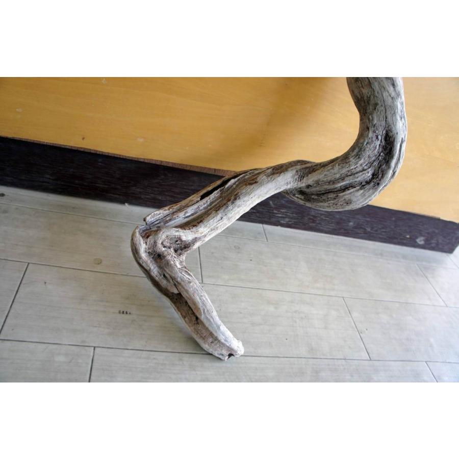 インテリア オブジェ おしゃれ 爬虫類 登り木 流木 レイアウト