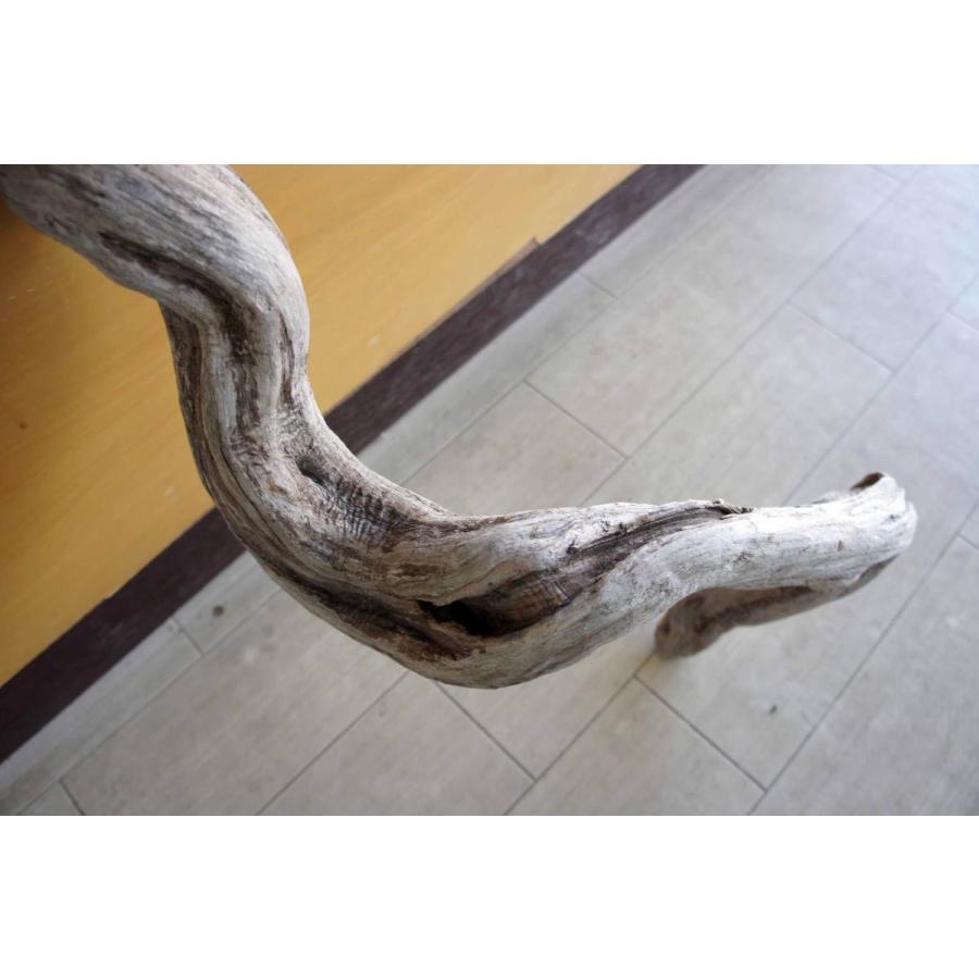 インテリア オブジェ おしゃれ 爬虫類 登り木 流木 レイアウト