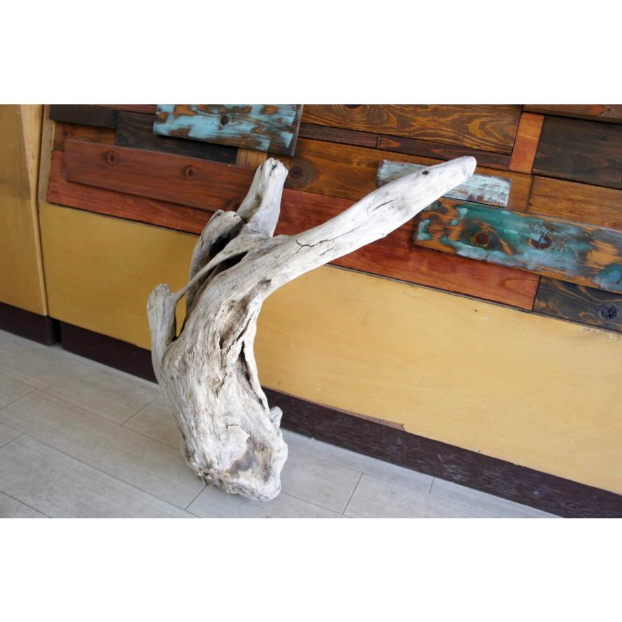 市場 流木 登り木 インテリア 止まり木 昆虫 レイアウト オブジェ