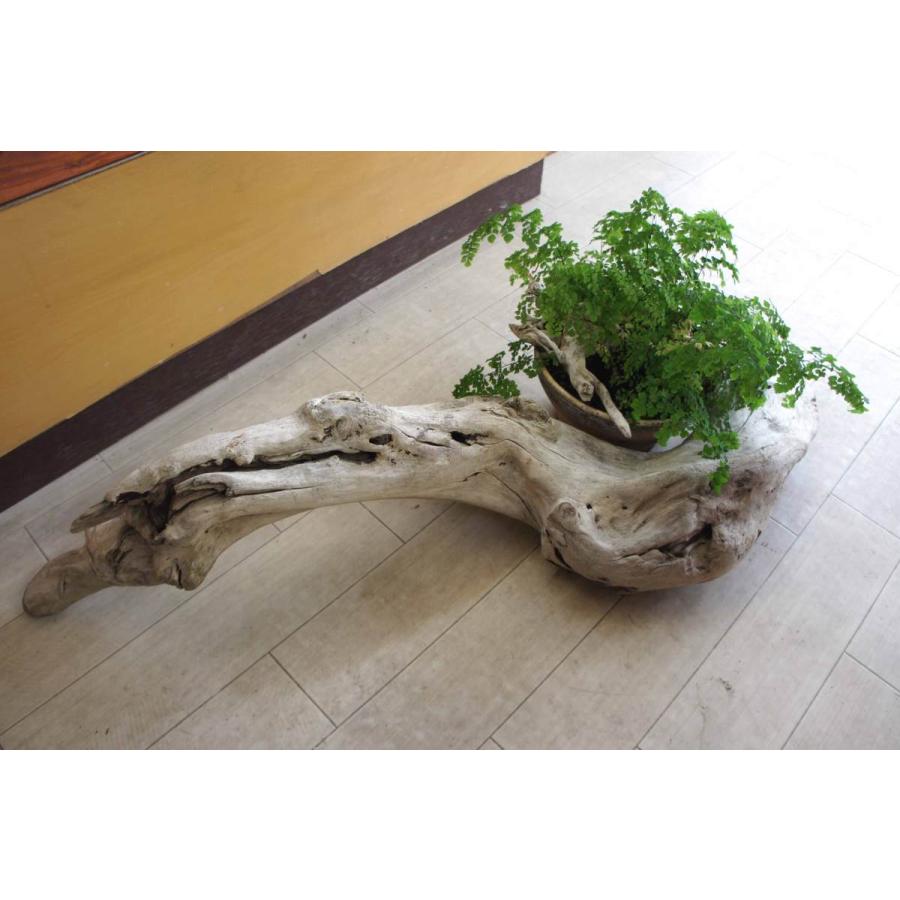 流木 インテリア オブジェ おしゃれ 雑貨 リビング 室内装飾 大型サイズ ガーデニング カフェ 店舗ディスプレイ 爬虫類 登り木 リフォーム 139 Ogata139 Wood Drops 通販 Yahoo ショッピング