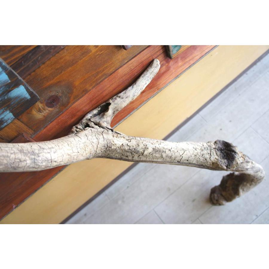 初回限定 インテリア オブジェ 流木 おしゃれ 置物 玄関 雑貨 リビング 室内装飾 大型サイズ ガーデニング カフェ 店舗ディスプレイ 爬虫類 登り木 リフォーム 151 激安特価 Www Aqtsolutions Com