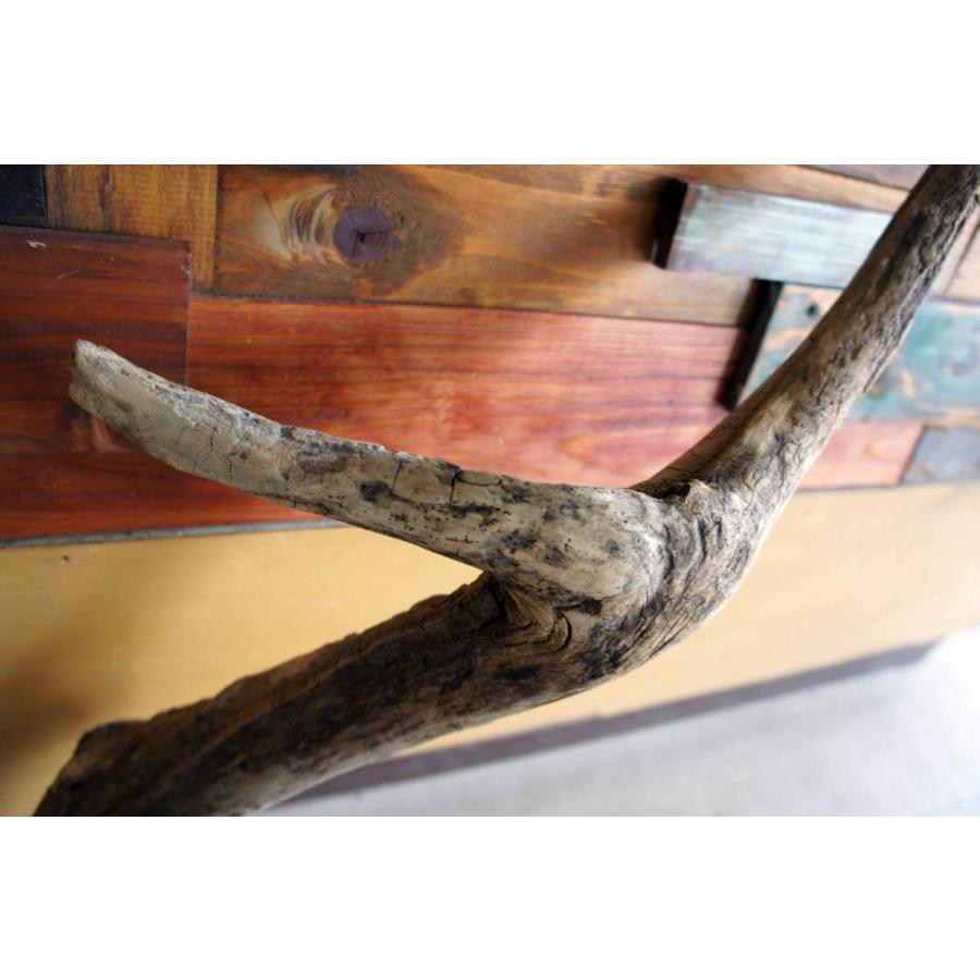 初回限定 インテリア オブジェ 流木 おしゃれ 置物 玄関 雑貨 リビング 室内装飾 大型サイズ ガーデニング カフェ 店舗ディスプレイ 爬虫類 登り 木 リフォーム 151 激安特価 Www Aqtsolutions Com