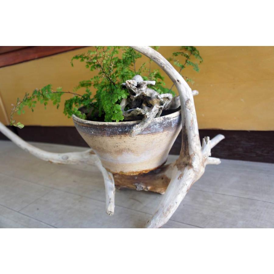 インテリア オブジェ 流木 おしゃれ ナチュラル 雑貨 観葉植物