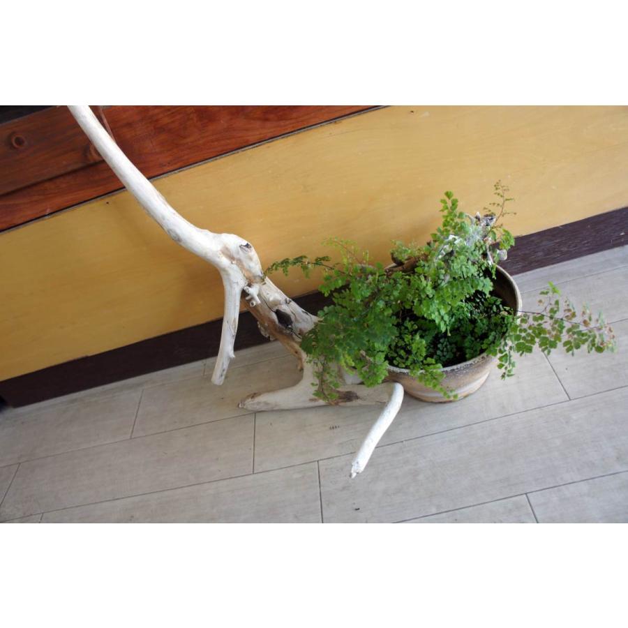 インテリア オブジェ 流木 おしゃれ ナチュラル 雑貨 観葉植物